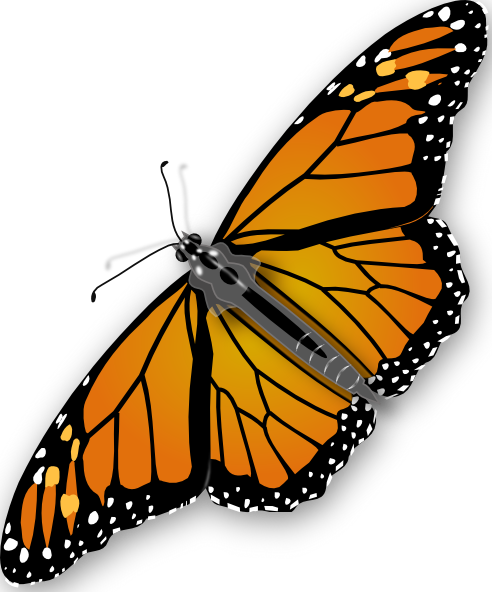 Free Free 317 Svg Butterfly Animation SVG PNG EPS DXF File