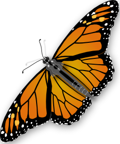 Free Free 96 Butterfly Body Svg SVG PNG EPS DXF File