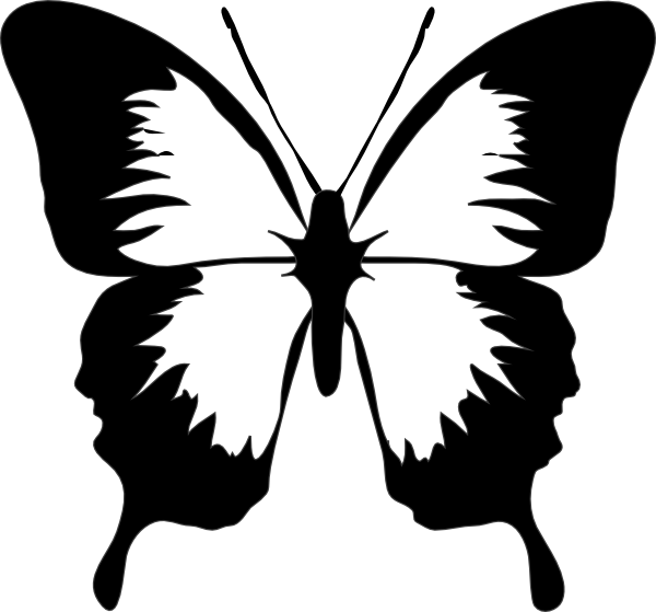 Download Butterfly Clip Art 111612 Free Svg Download 4 Vector SVG, PNG, EPS, DXF File