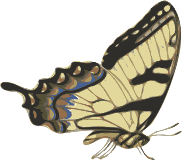 free vector Butterfly Papilio Turnus Side View clip art