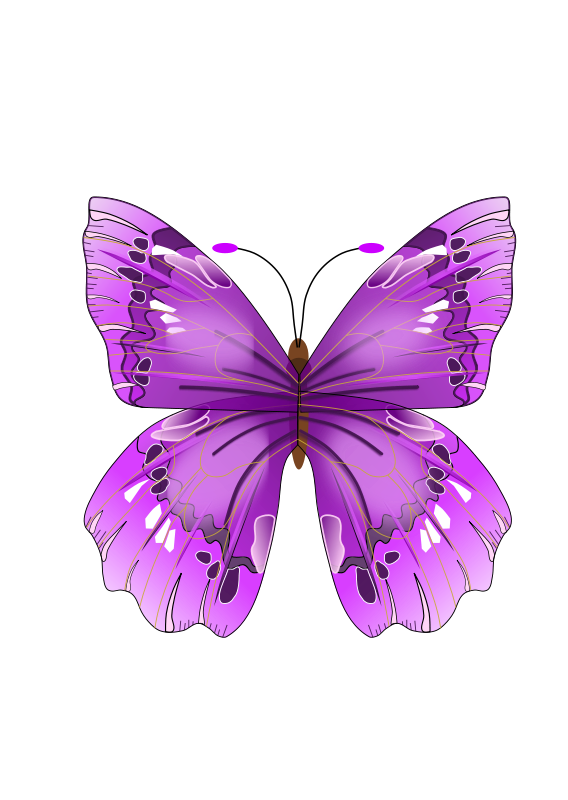 Butterfly (98438) Free SVG Download / 4 Vector