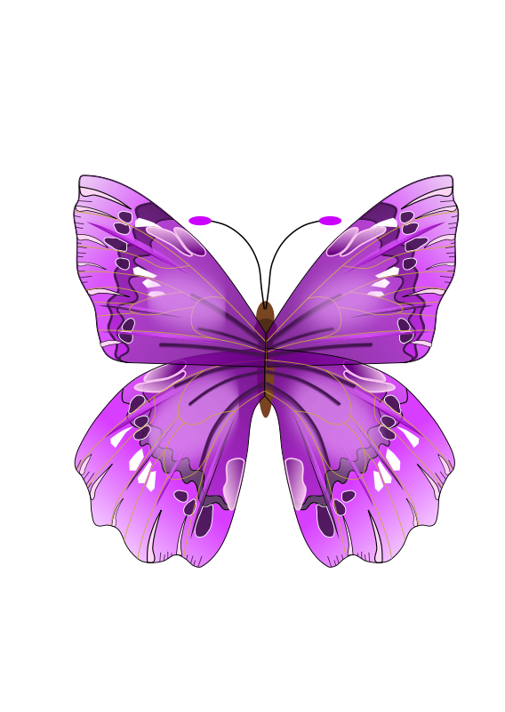 Free Free Transparent Butterfly Svg Free 57 SVG PNG EPS DXF File