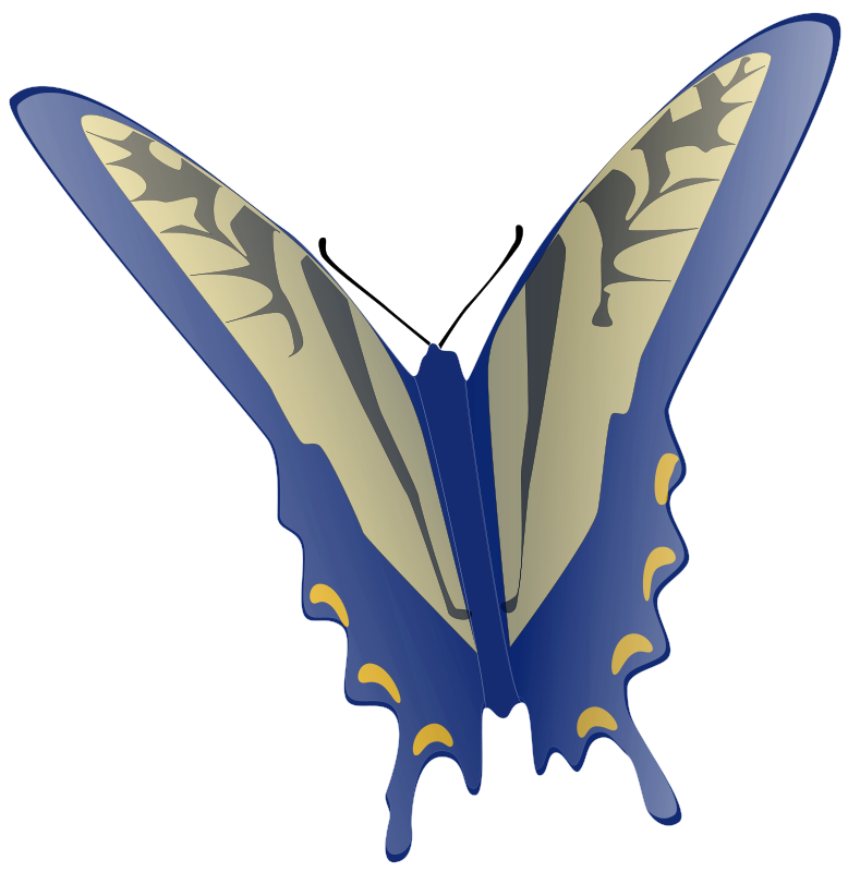 Butterfly (100253) Free SVG Download / 4 Vector