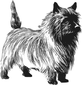 free vector Cairn Terrier clip art
