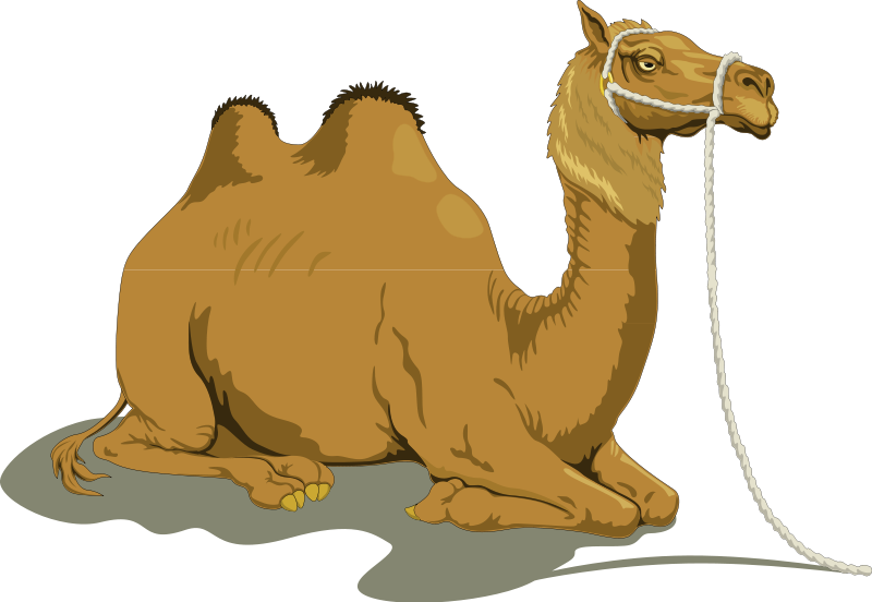 free vector Camel 1