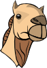 free vector Camel Head clip art