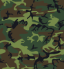 free vector Camouflage Pattern clip art