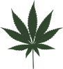 free vector Cannabis Leafs clip art