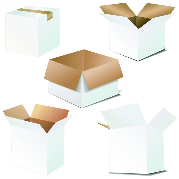 free vector Cardboard carton blank vector