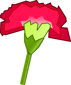 free vector Carnation Flower clip art