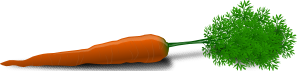 free vector Carrot clip art