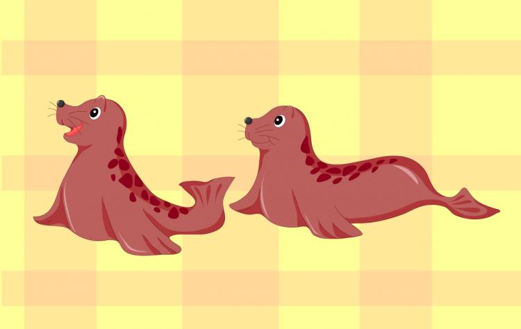 free vector Cartoon baby seal