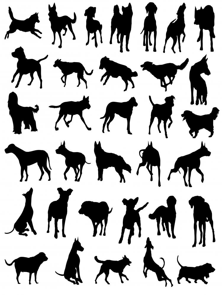 free vector Cats and dogs silhouette vector