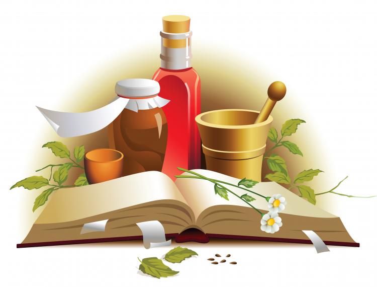 free vector Chinese herbal medicine material