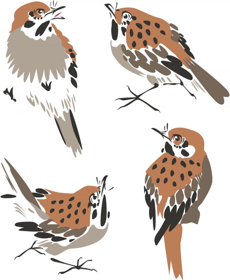 free vector Chinese painting bird 03 vector