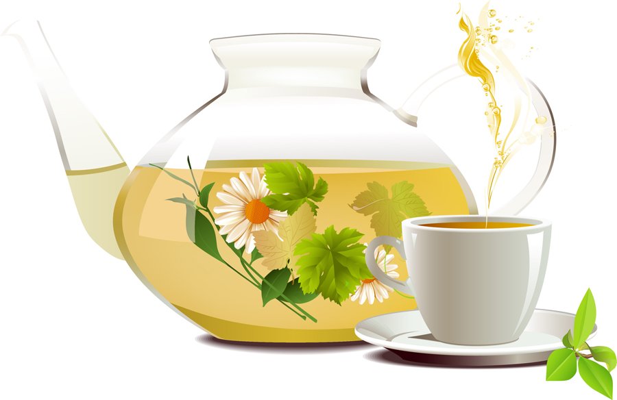 free vector Chrysanthemum tea tea 01 vector