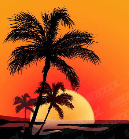 free vector Coconut on sunrise