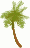 free vector Coconut Tree clip art