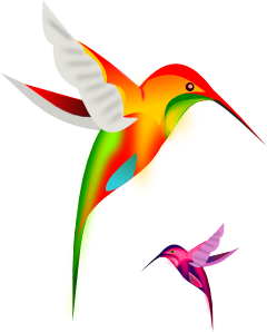 free vector Colibri Birds clip art
