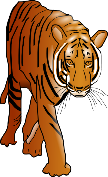 Free Free Bengal Tiger Svg