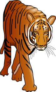 free vector Color Tiger clip art