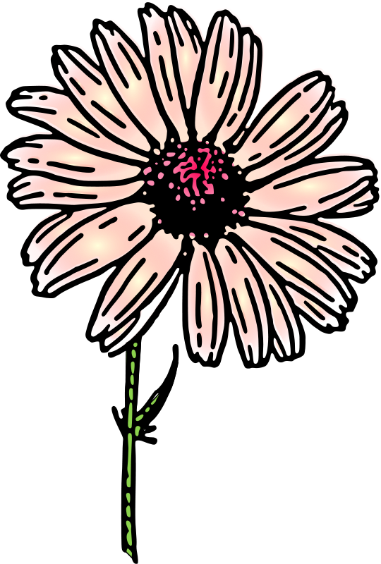Download Colored daisy (100885) Free SVG Download / 4 Vector