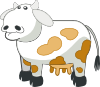 free vector Colour Cows clip art