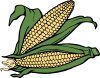 free vector Corn  clip art