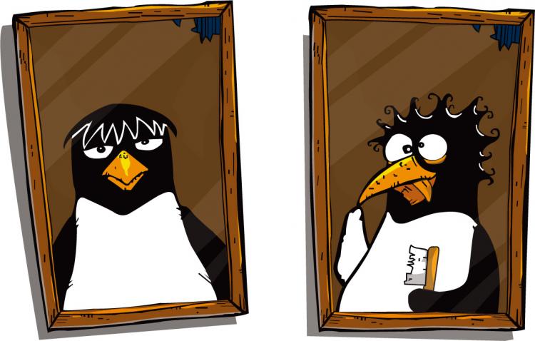 free vector Cute penguin photo vector