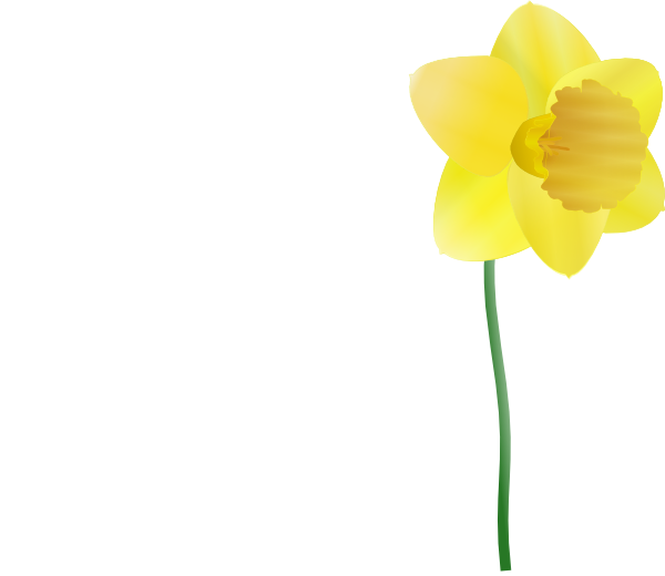 Download Daffodil clip art (115230) Free SVG Download / 4 Vector