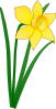free vector Daffodil clip art