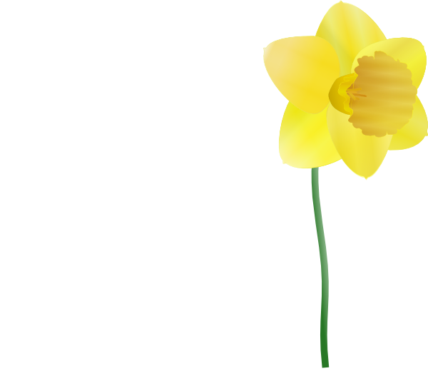 free vector Daffodil clip art