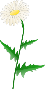 Daisy clip art (115222) Free SVG Download / 4 Vector