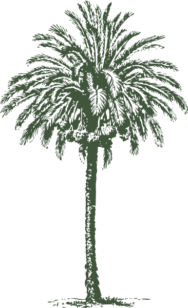free vector Date Palm clip art