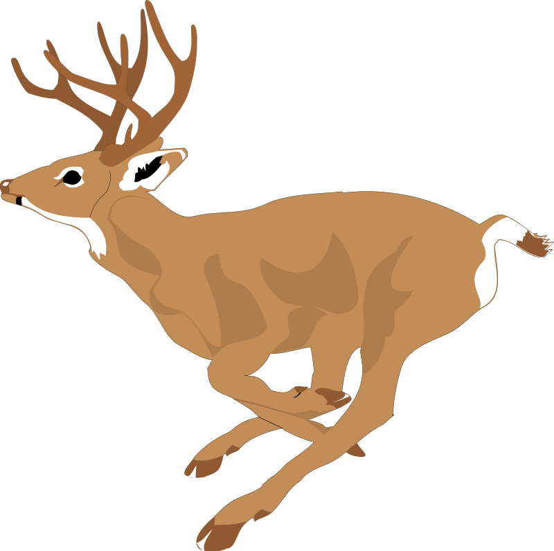 free vector Deer 4