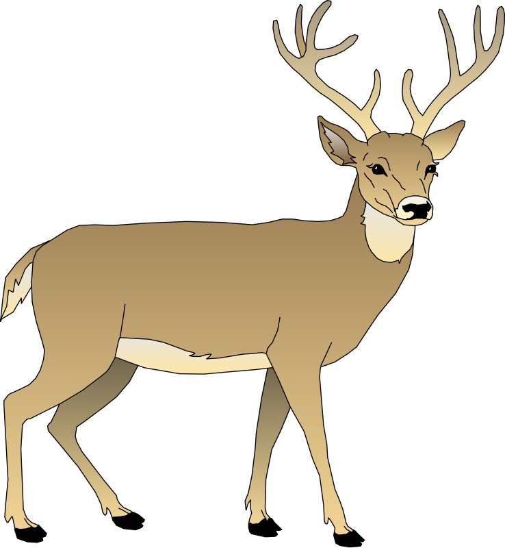 free vector Deer 5