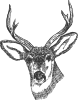 free vector Deer Head clip art