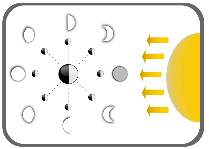 free vector Diagram of Moon faces