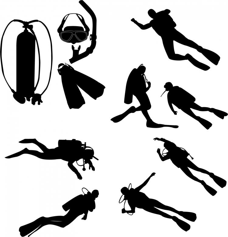 free vector Diver silhouette vector