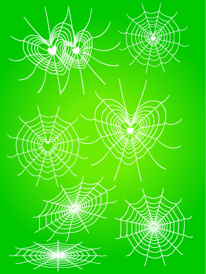 free vector Diverse spider web love vector network