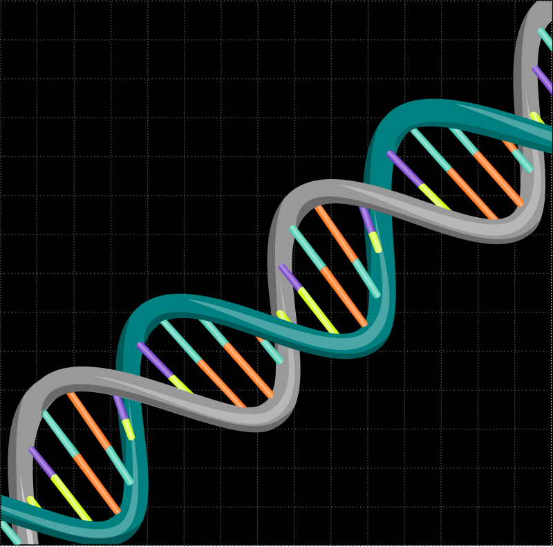 dna vector illustrator free download