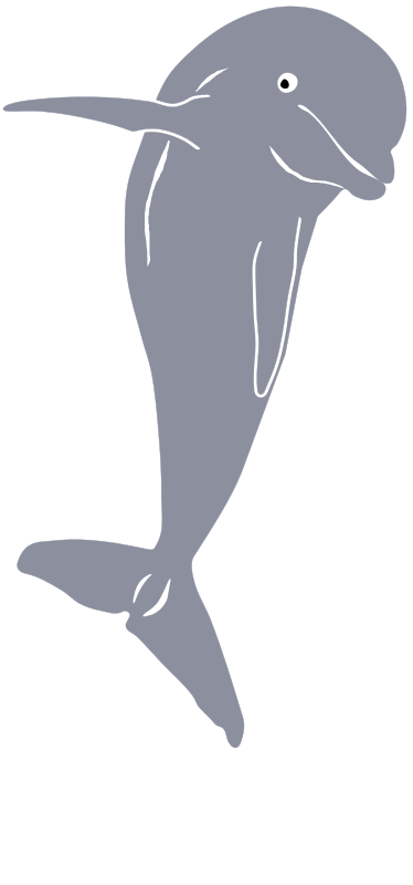 free vector Dolphin Jumping, Front