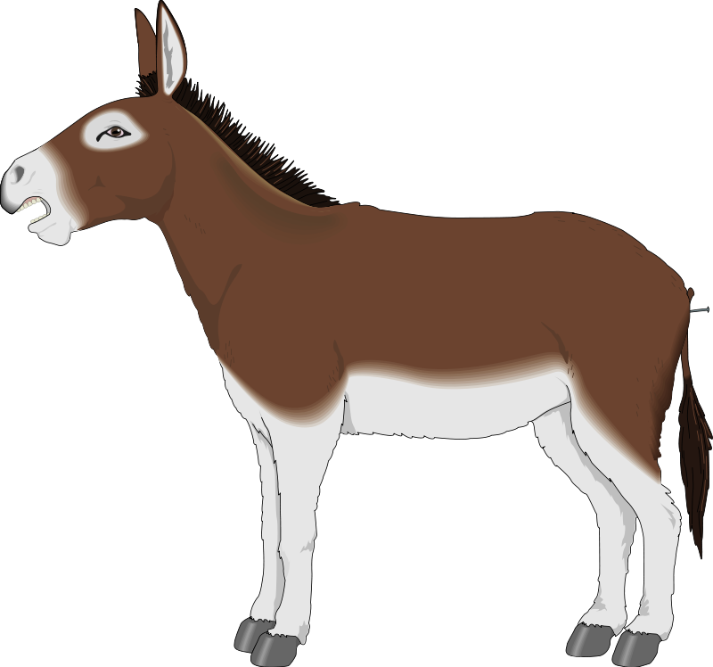 free vector Donkey 2