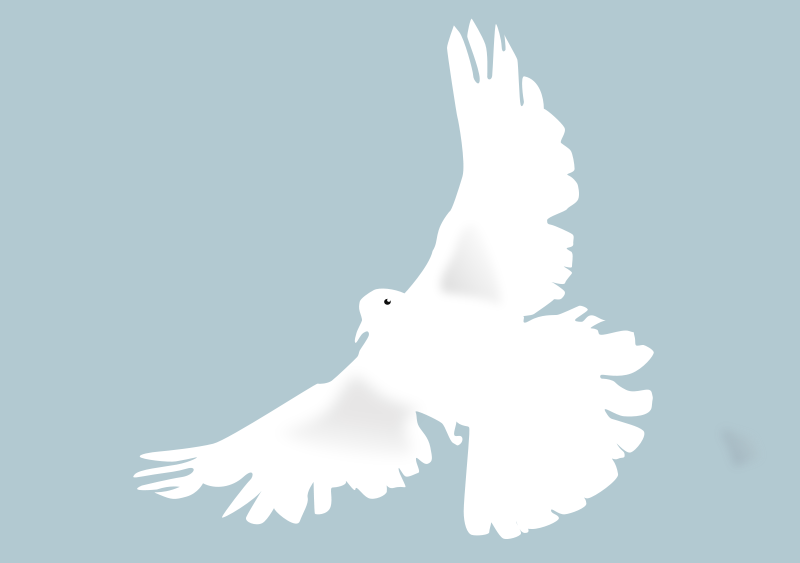 free vector Dove - colombe