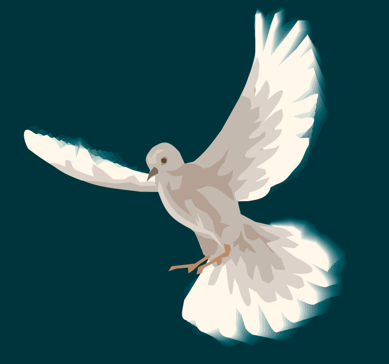 free vector Dove