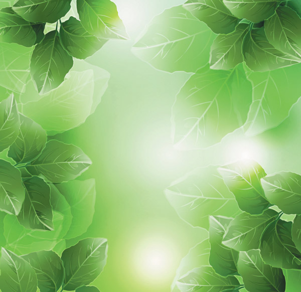 free vector Dream Plant Vector Background Material -4 Leaves Green Leaves Fantasy