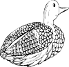 free vector Duck Decoy clip art