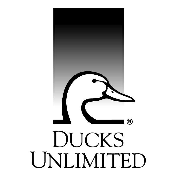 free vector Ducks unlimited 1