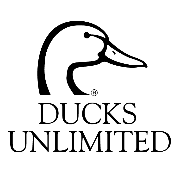 free vector Ducks unlimited