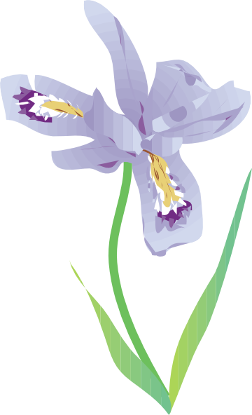 free vector Dwarf Lake Iris clip art